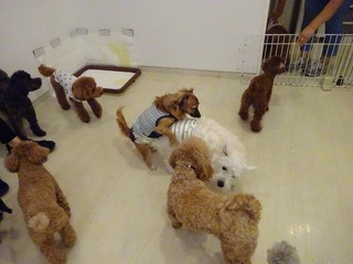 DSC01152.jpg