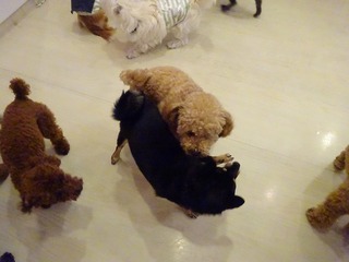 DSC01153.jpg