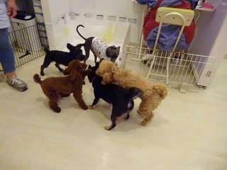 DSC01157.jpg