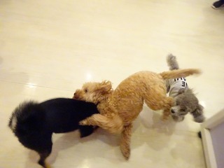 DSC01162.jpg