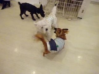 DSC01168.jpg