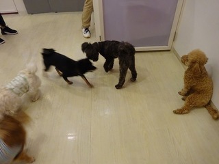 DSC01181.jpg