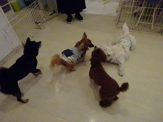 DSC01193.jpg