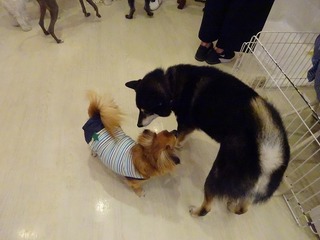 DSC01232.jpg
