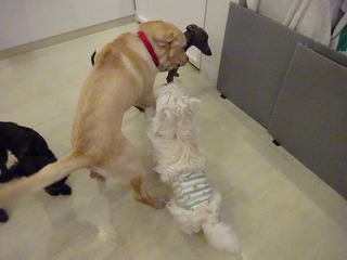 DSC01254.jpg