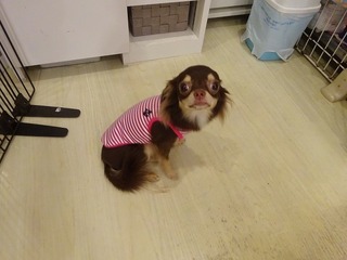 DSC01310.jpg