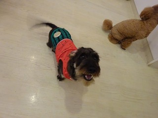 DSC01321.jpg