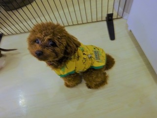 DSC01334.jpg