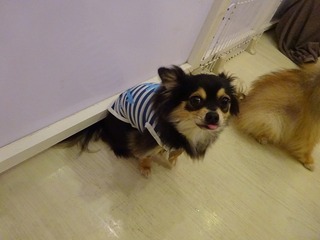DSC01386.jpg