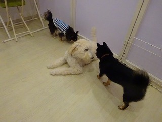 DSC01406.jpg