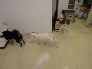 DSC01412.jpg