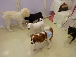 DSC01413.jpg