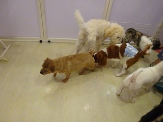DSC01436.jpg
