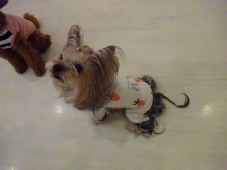 DSC01445.jpg