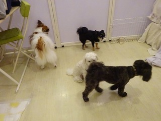 DSC01460.jpg
