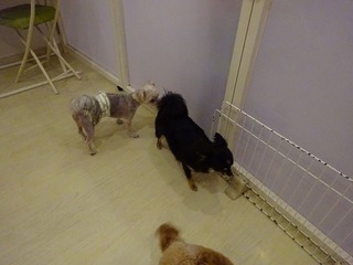 DSC01472.jpg