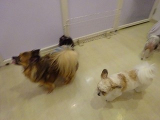 DSC01498.jpg