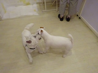 DSC01546.jpg