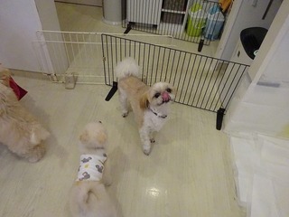 DSC01559.jpg