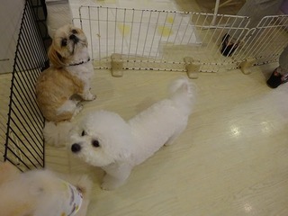 DSC01605.jpg