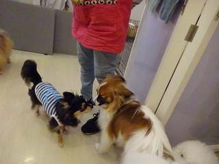 DSC01636.jpg