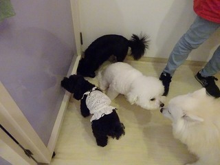 DSC01645.jpg