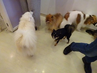 DSC01659.jpg