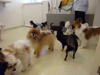 DSC01665.jpg