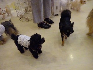 DSC01668.jpg