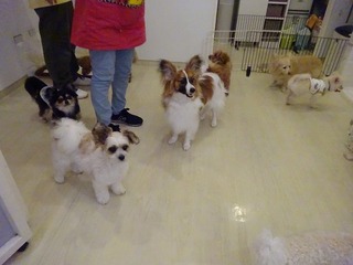 DSC01690.jpg