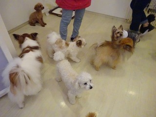 DSC01711.jpg