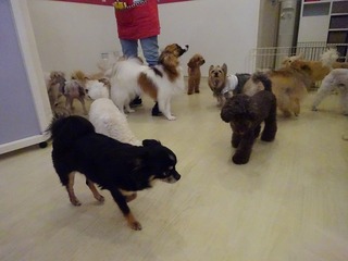 DSC01716.jpg