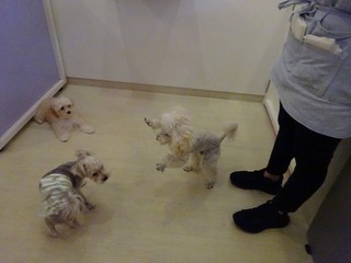 DSC01725.jpg