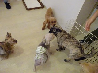 DSC01733.jpg