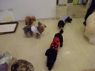 DSC01736.jpg