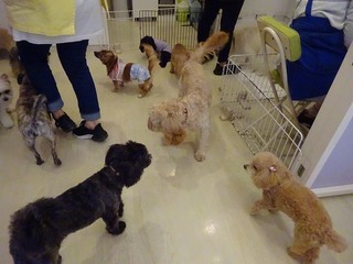 DSC01745.jpg