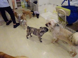 DSC01854.jpg