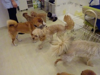 DSC01857.jpg