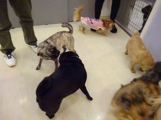 DSC01899.jpg
