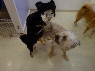 DSC01976.jpg