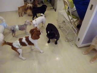 DSC02015.jpg