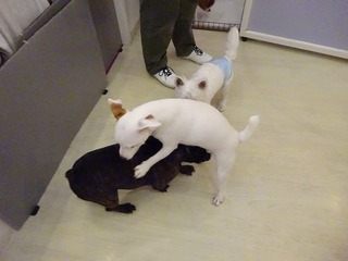 DSC02020.jpg