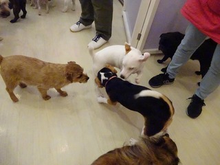 DSC02032.jpg
