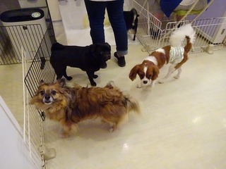 DSC02050.jpg