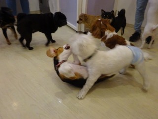DSC02079.jpg