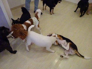 DSC02111.jpg