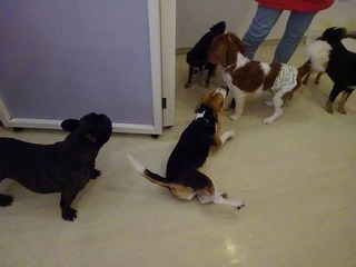 DSC02113.jpg