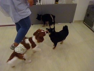 DSC02119.jpg