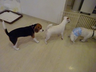 DSC02123.jpg