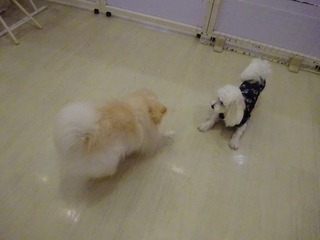 DSC02151.jpg